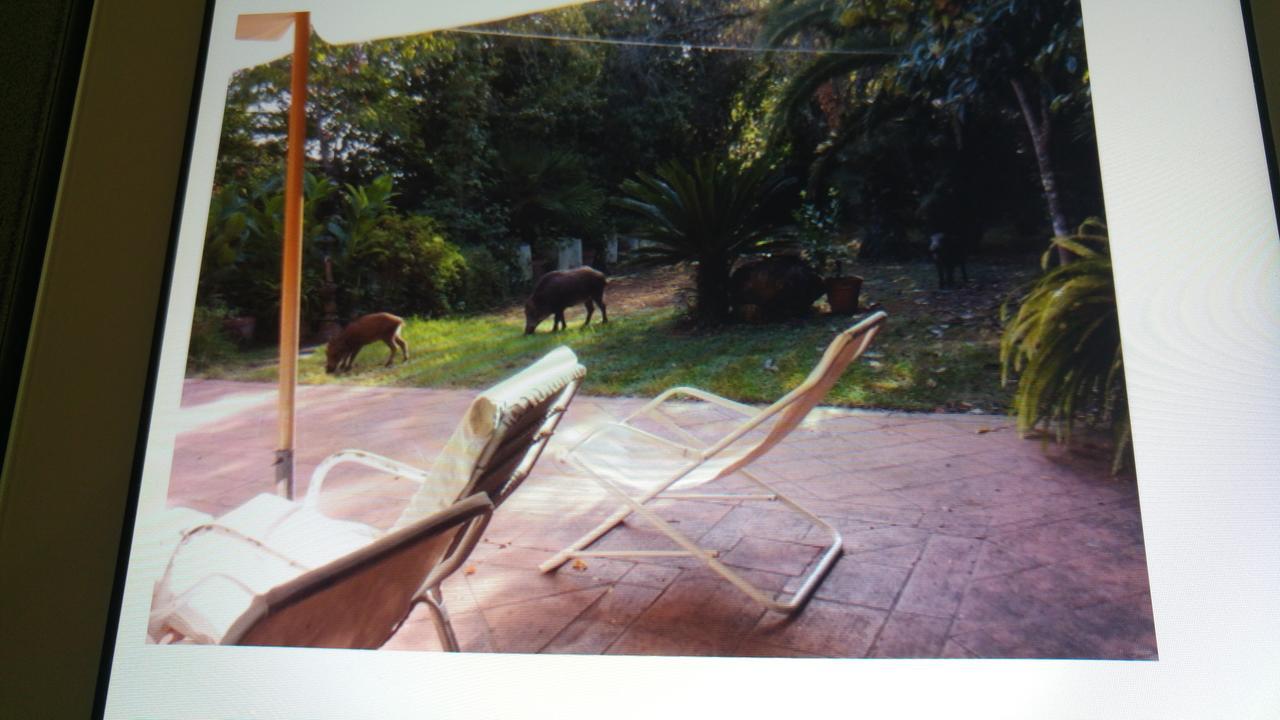 Hotel Giardino Degli Ulivi San Felice Circeo Zewnętrze zdjęcie